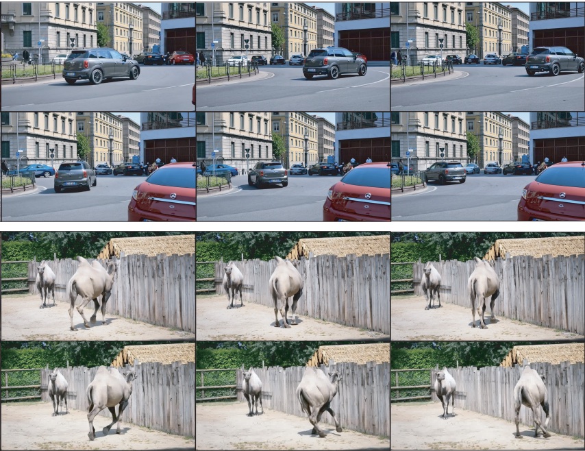 Kepler4D: car and horse sequences illustrating controllable future video generation